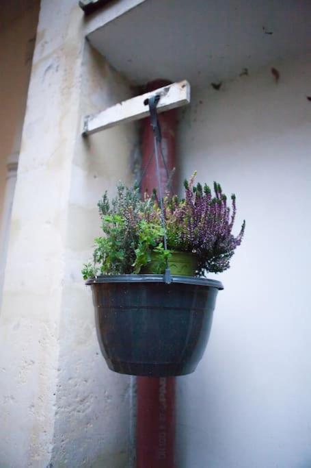 Charming Studio In A Courtyard In Paris Extérieur photo